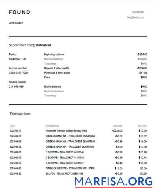 Realistic USA Found account statement word sample